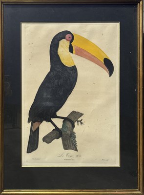 Lot 512 - After Jacques Barraband, a 19th century hand...