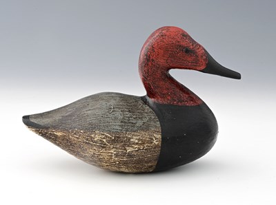 Lot 91 - Guy Taplin (British, 1939), Canvasback, signed...