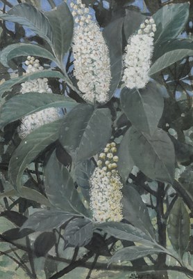 Lot 294 - Alfred Hoare Powell (1865-1960) Laurel Blossom,...