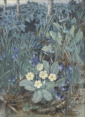 Lot 295 - Alfred Hoare Powell (1865-1960) Primroses and...