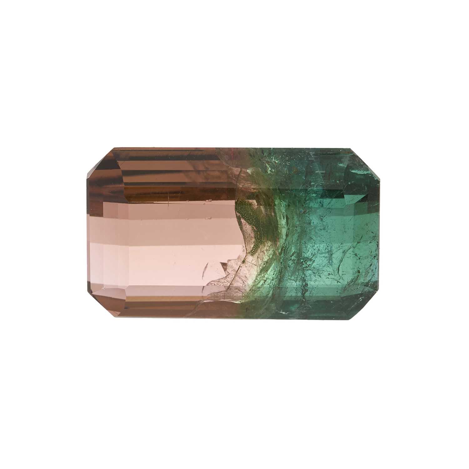 Lot 55 - A natural parti-colour tourmaline, weighing 14.70ct