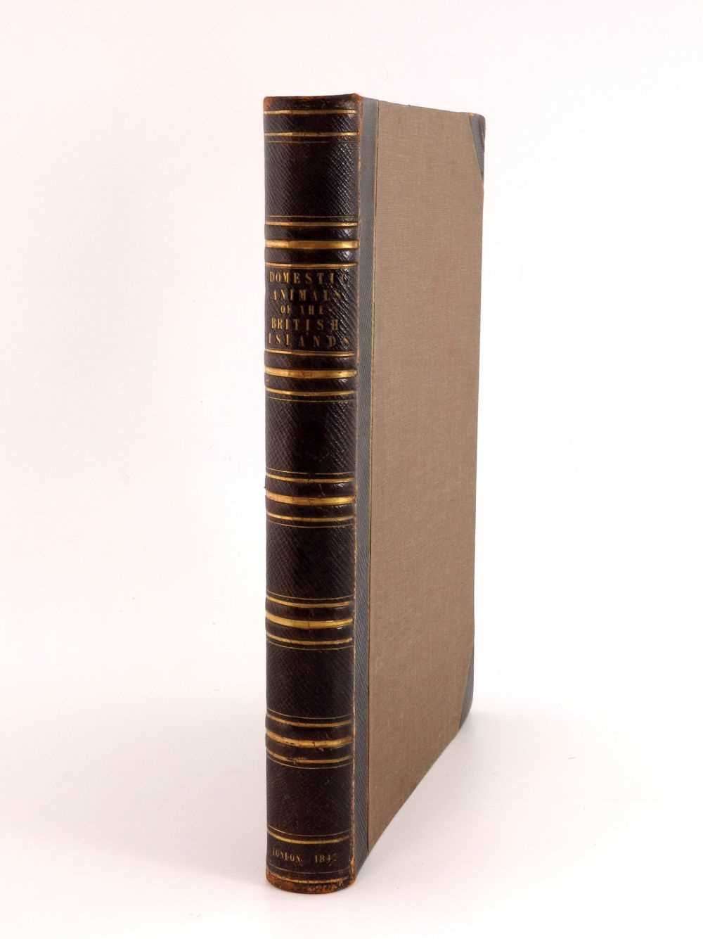 Lot 5 - David Low Esq. F.R.S.E., The Breeds of the...